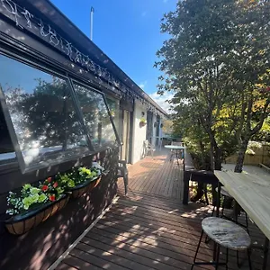 https://young-bb-house.rotoruahotelsnz.com
